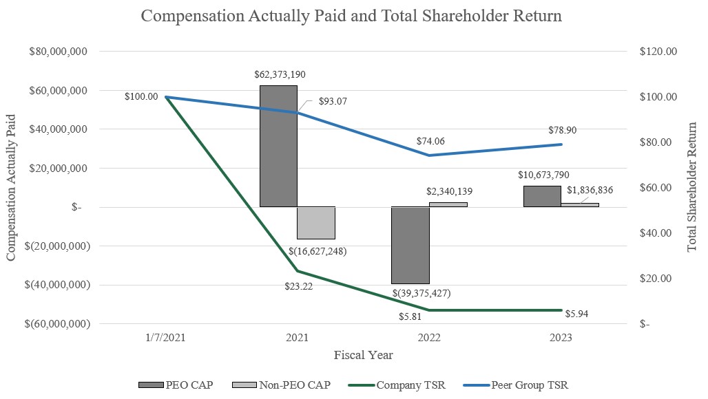 Compensation Actually Paid Graph.jpg